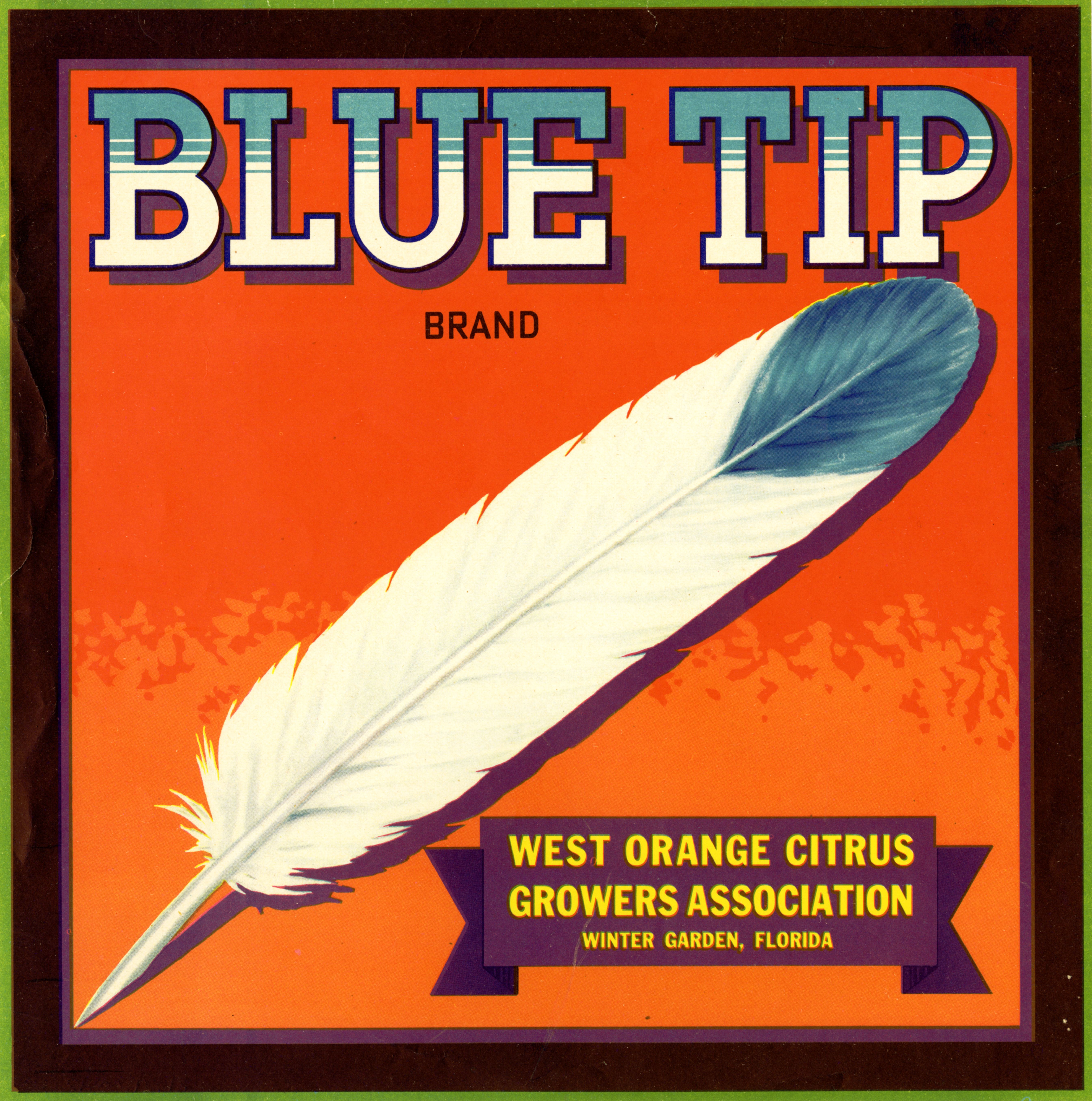Blue Tip Brand
