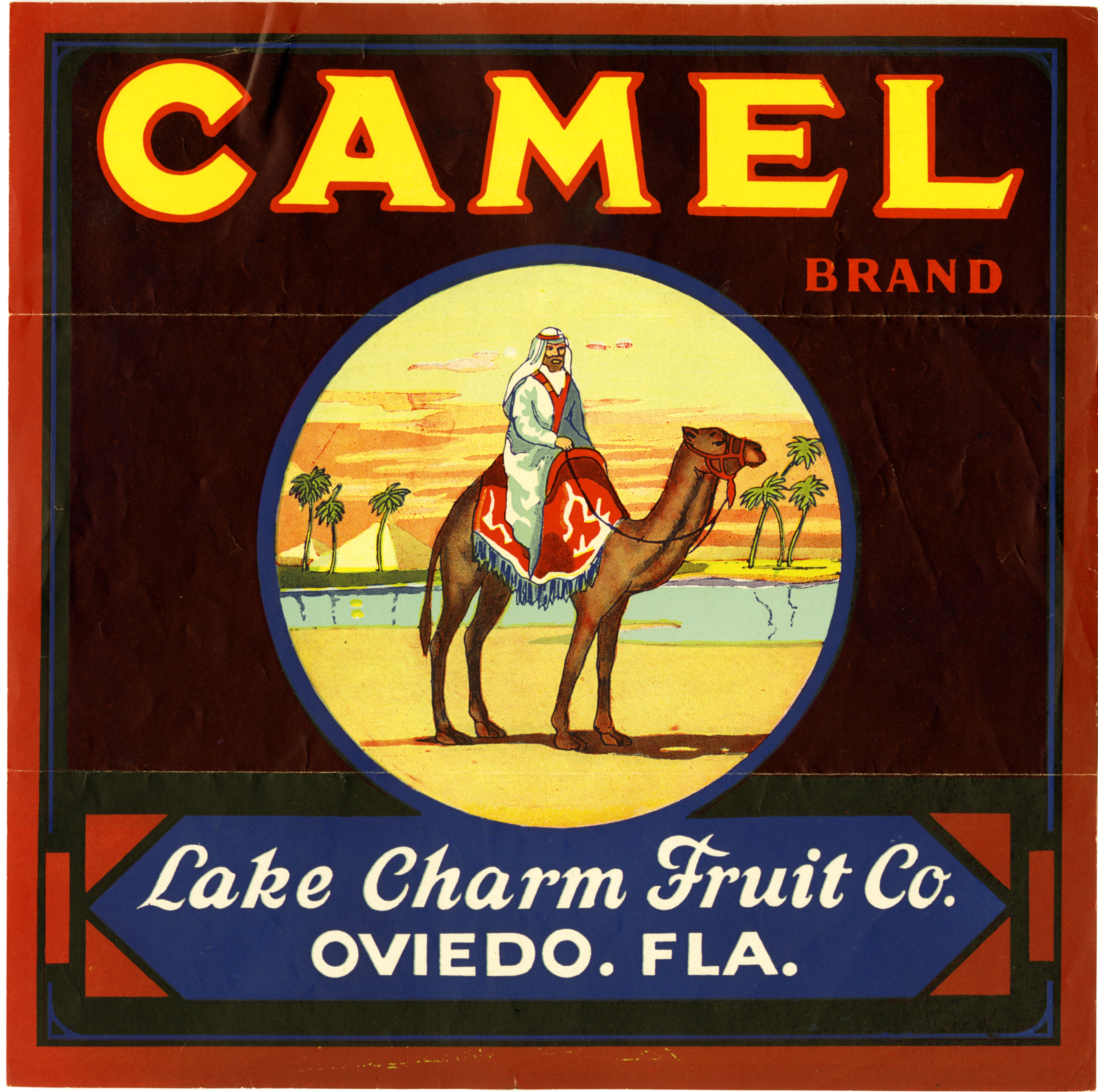 Camel Brand
