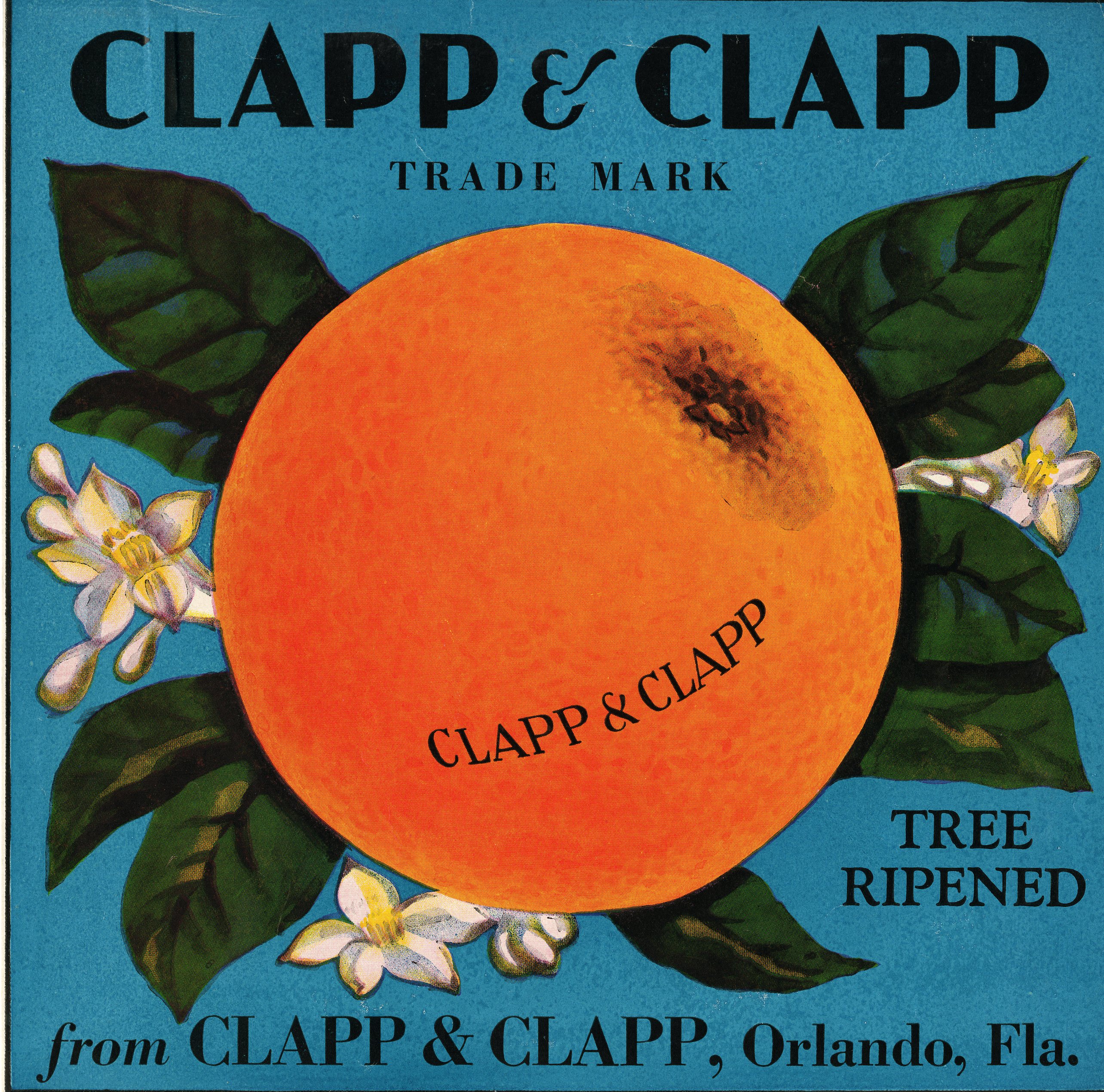 Clapp & Clapp