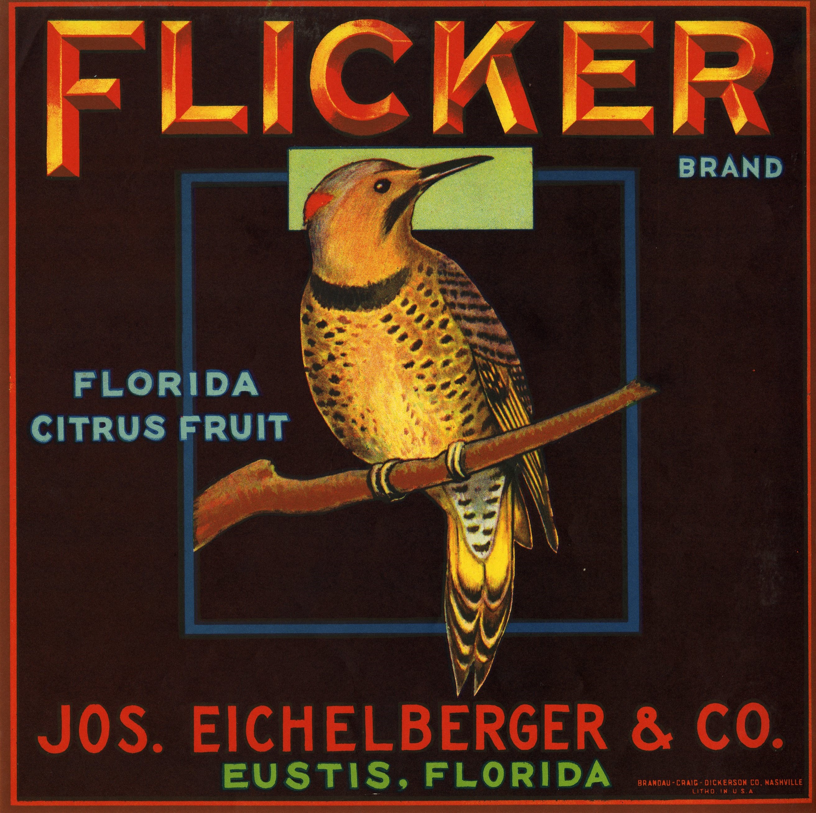 Flicker Brand