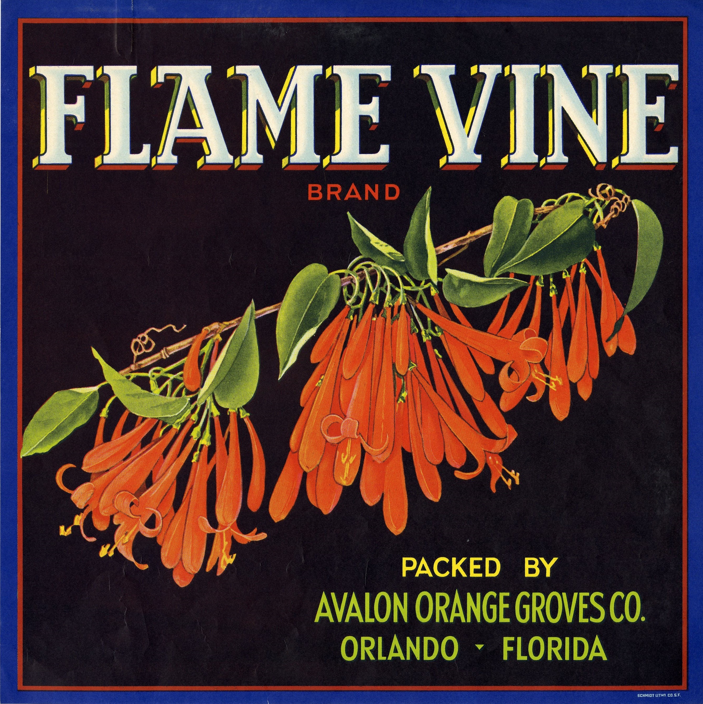 Flame Vine Brand