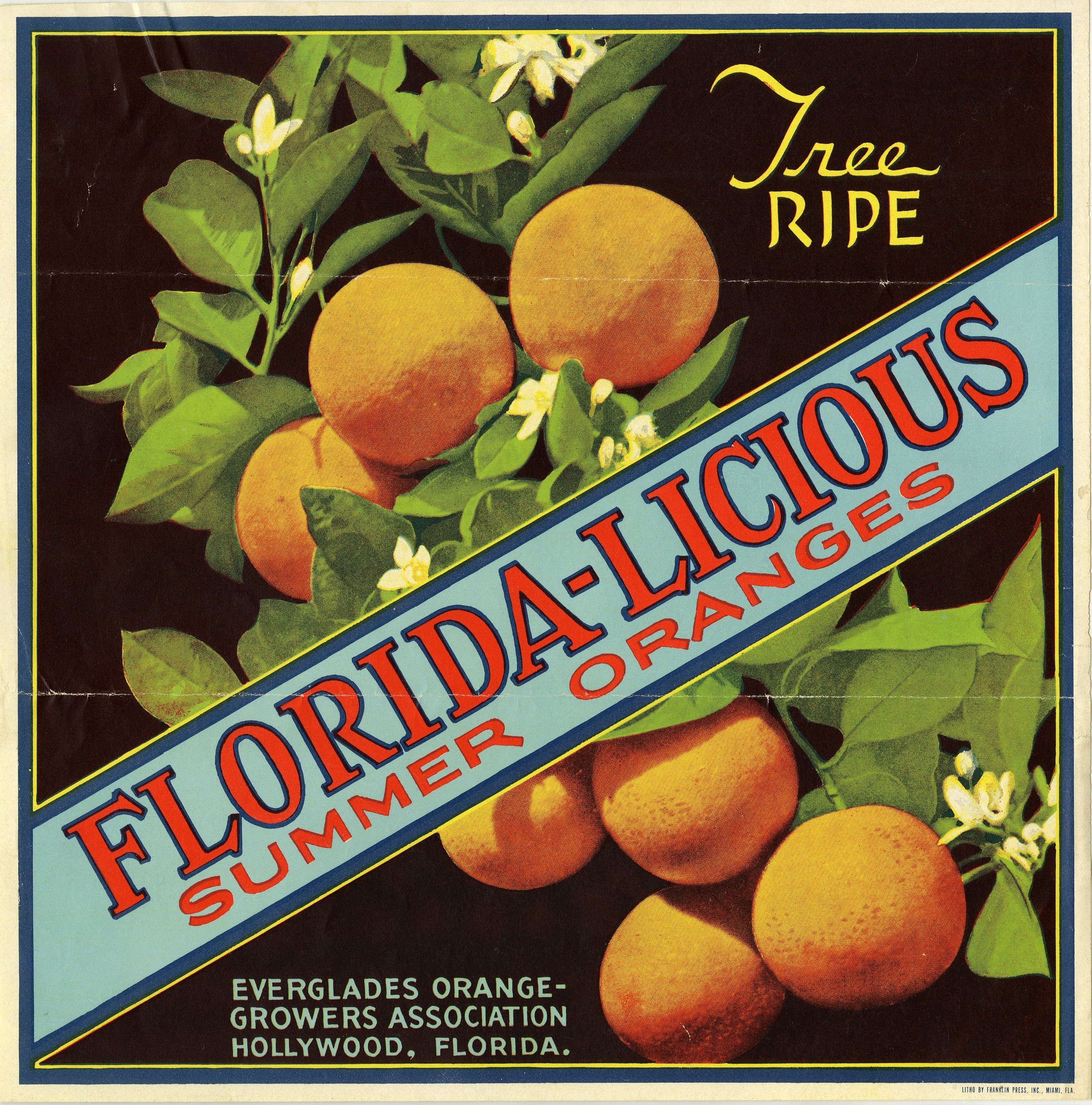 Florida-Licious