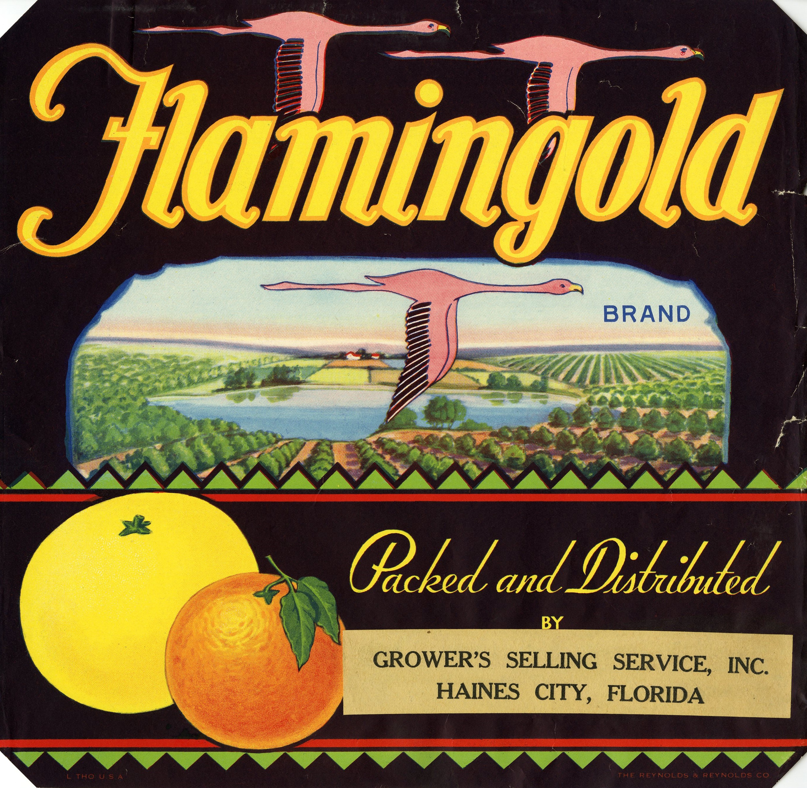 Flamingold Brand
