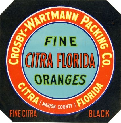 Fine Citra Florida Oranges