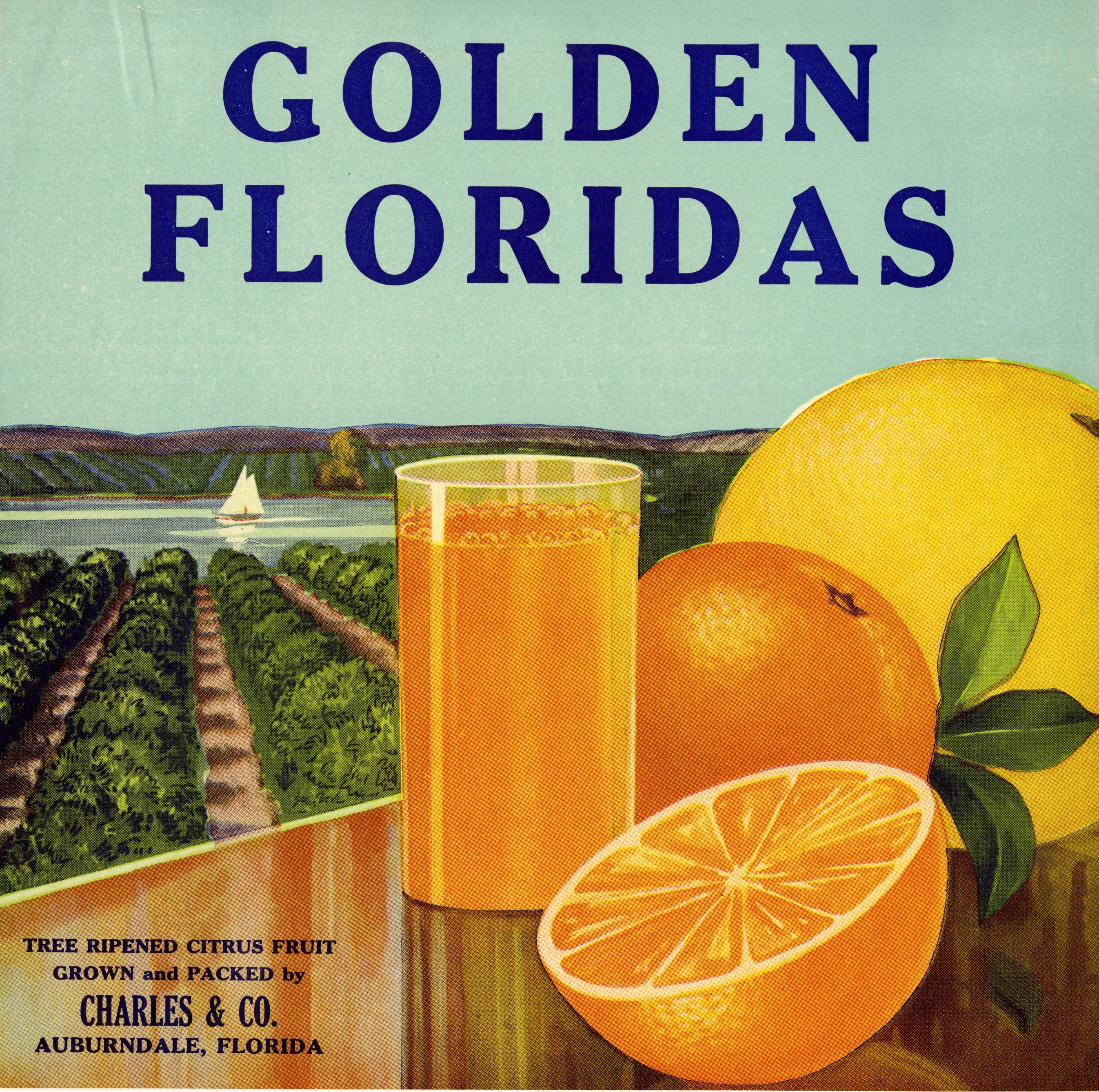 Golden Floridas
