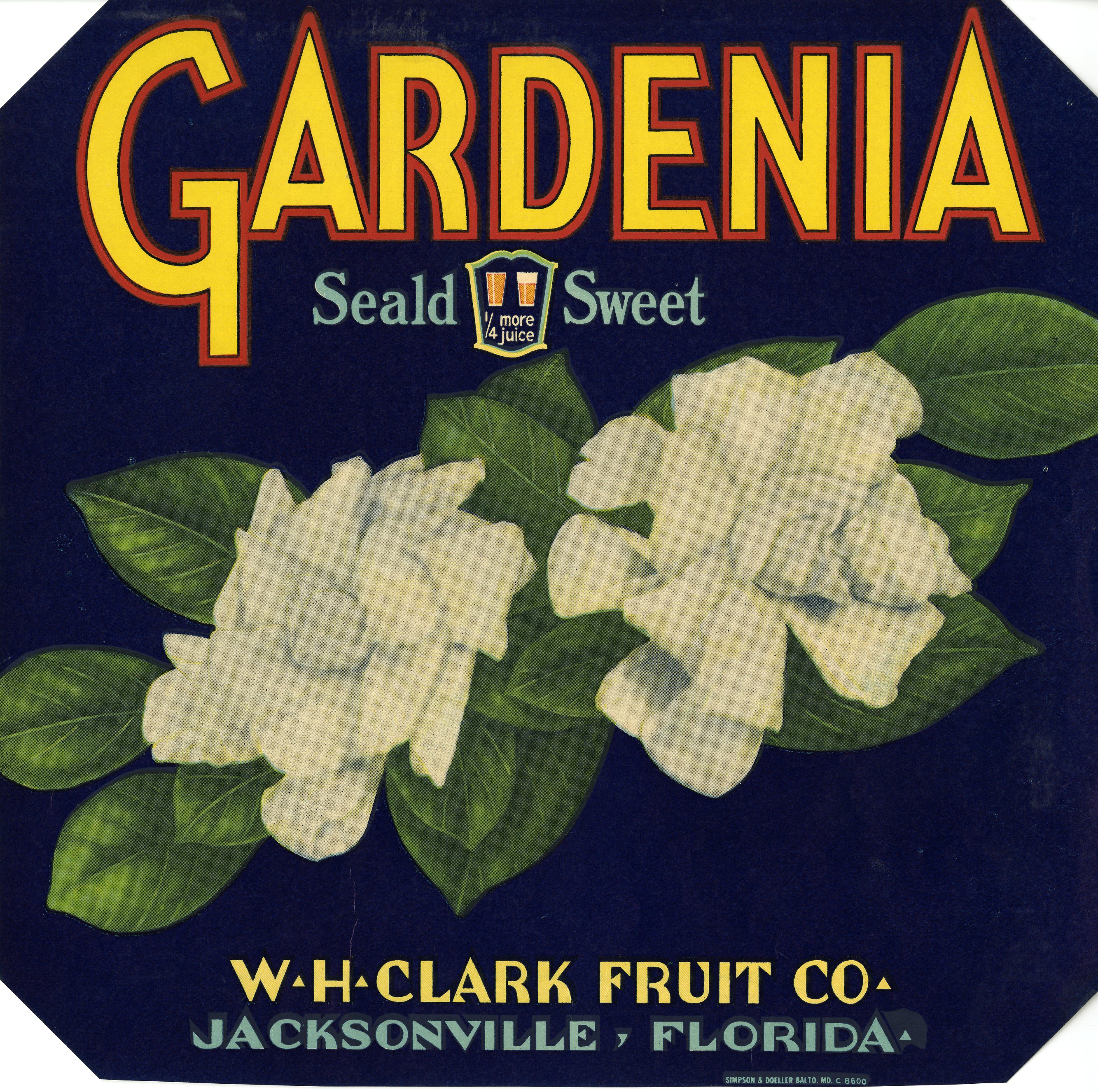Gardenia