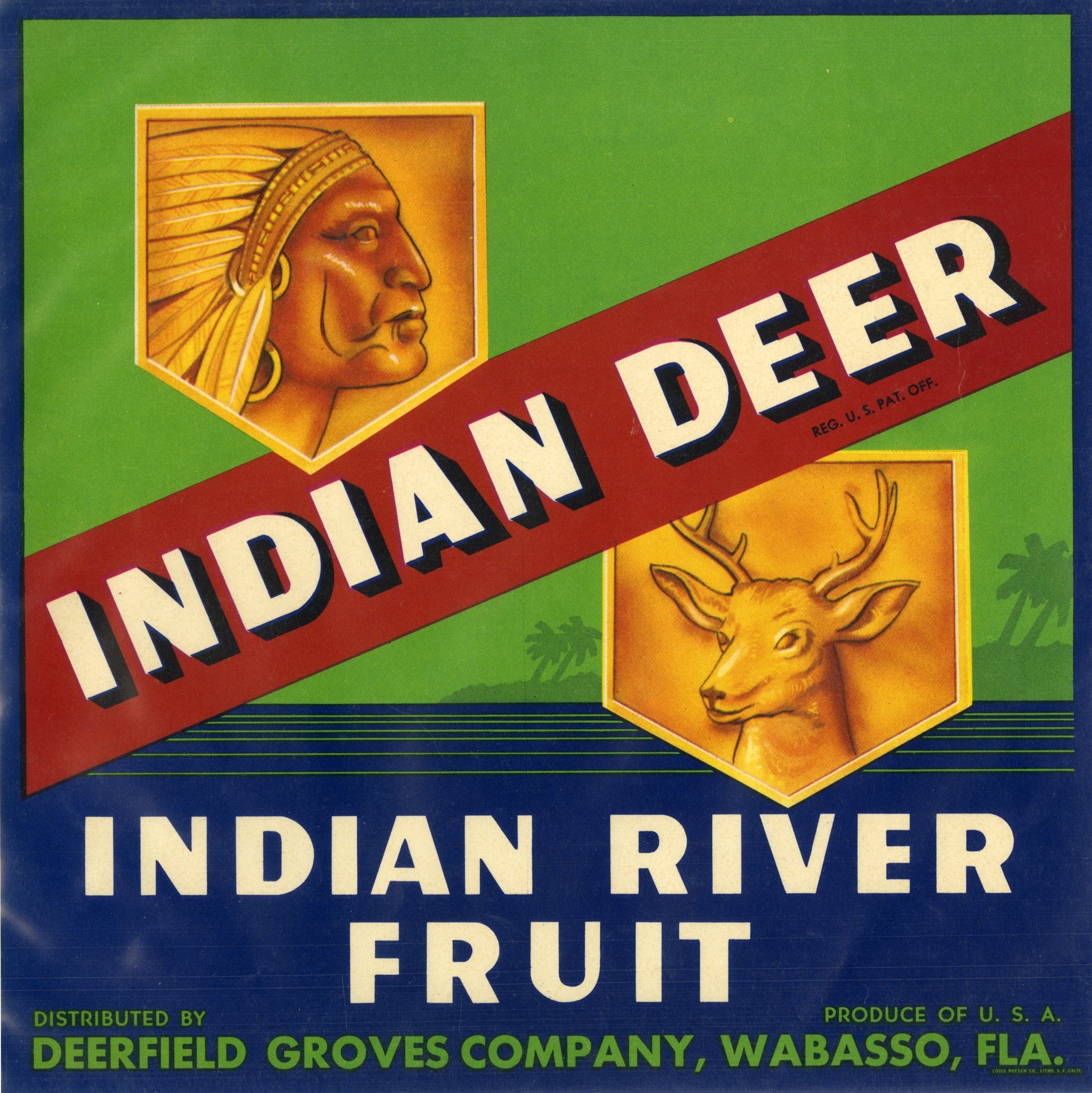 Indian Deer