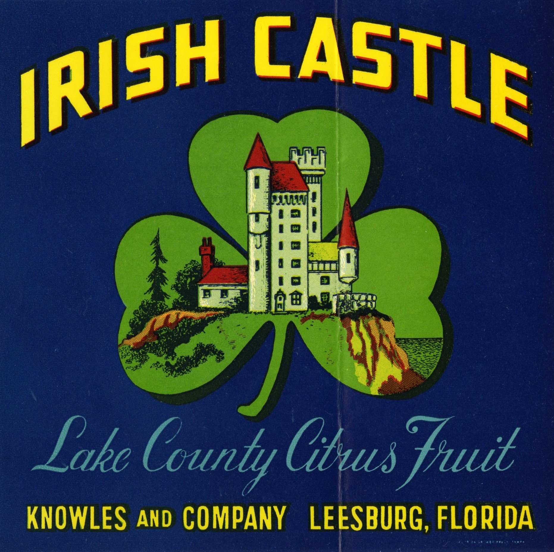 Irish Castle