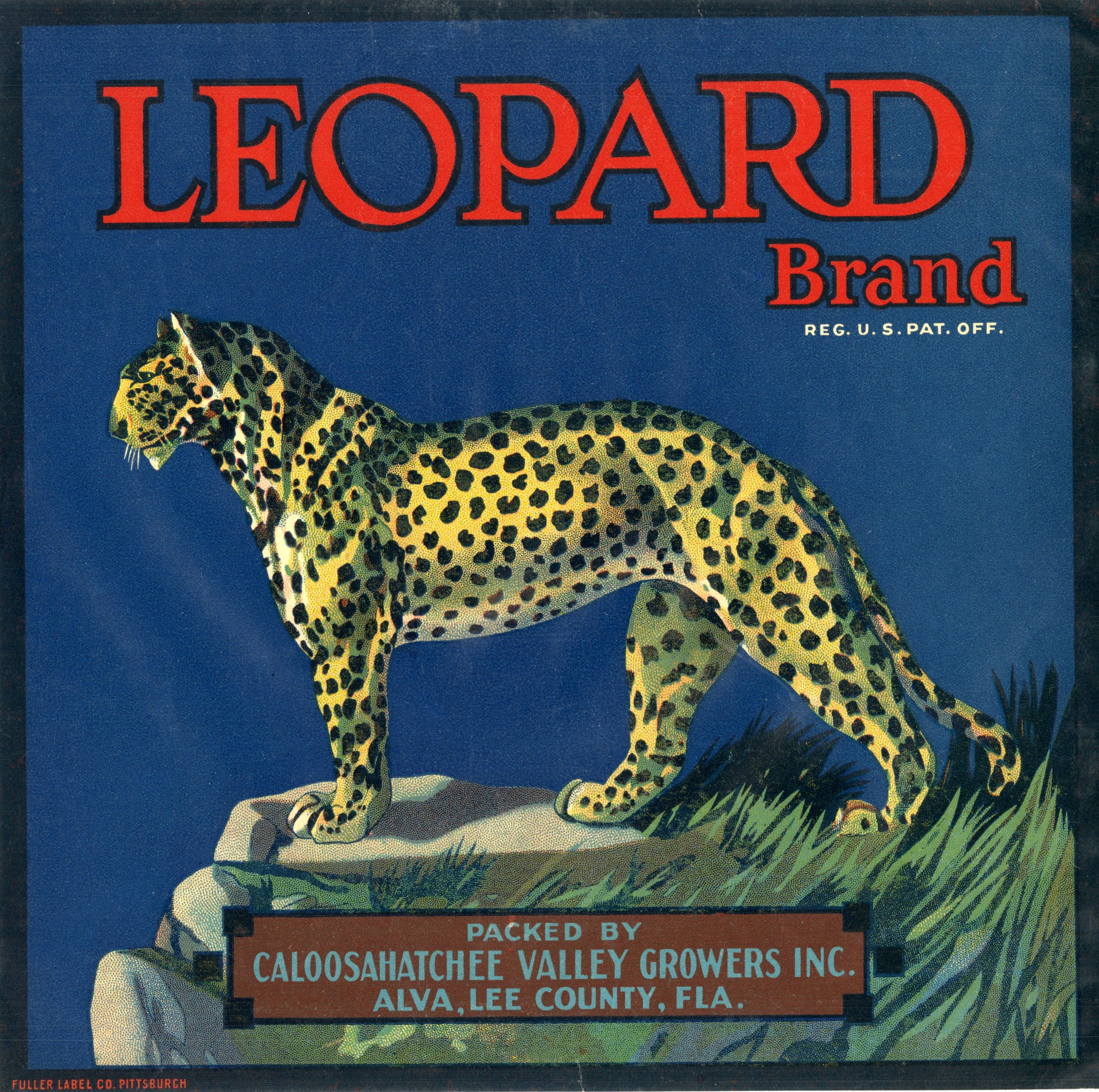 Leopard Brand