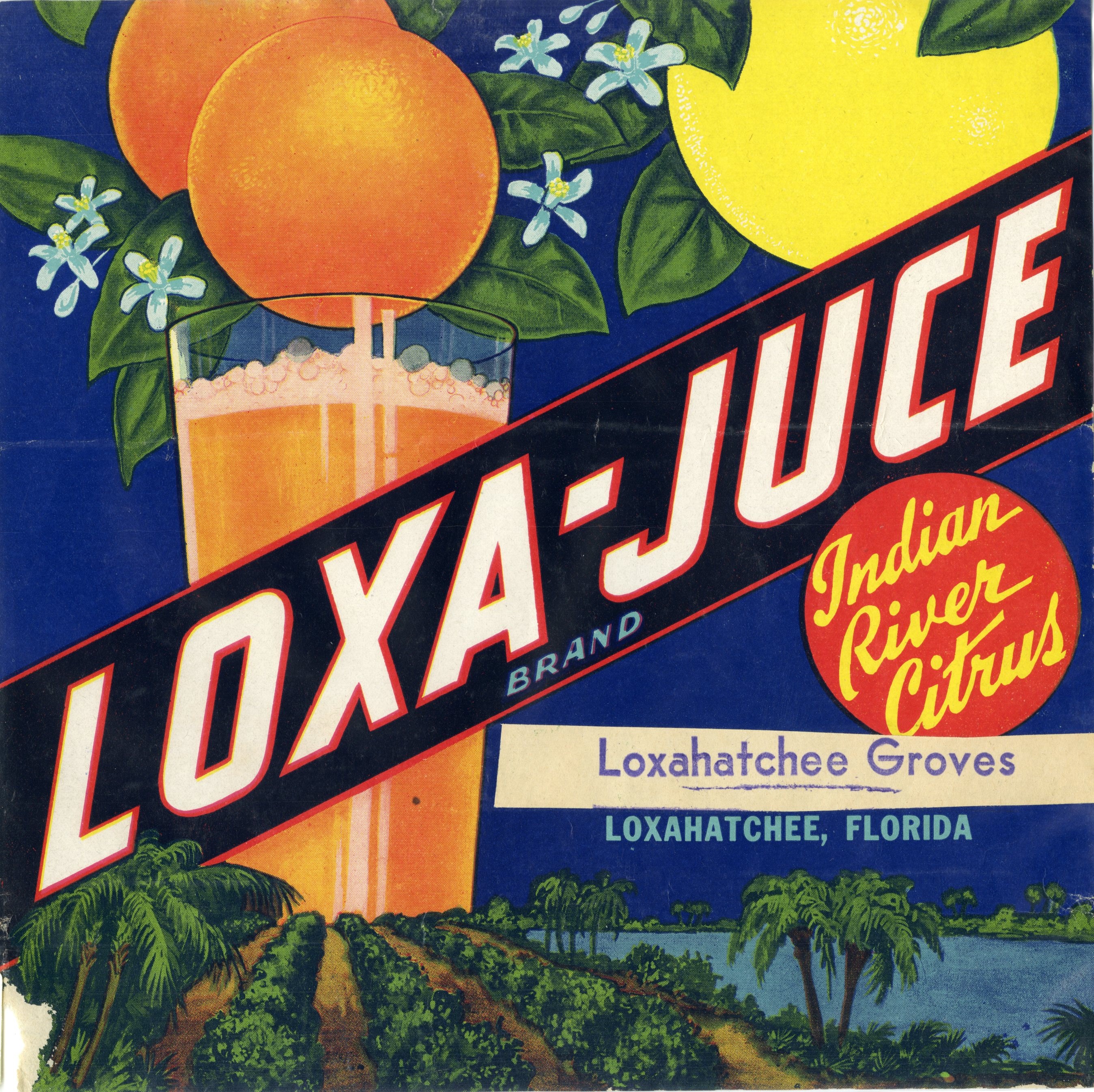 Loxa-Juce Brand