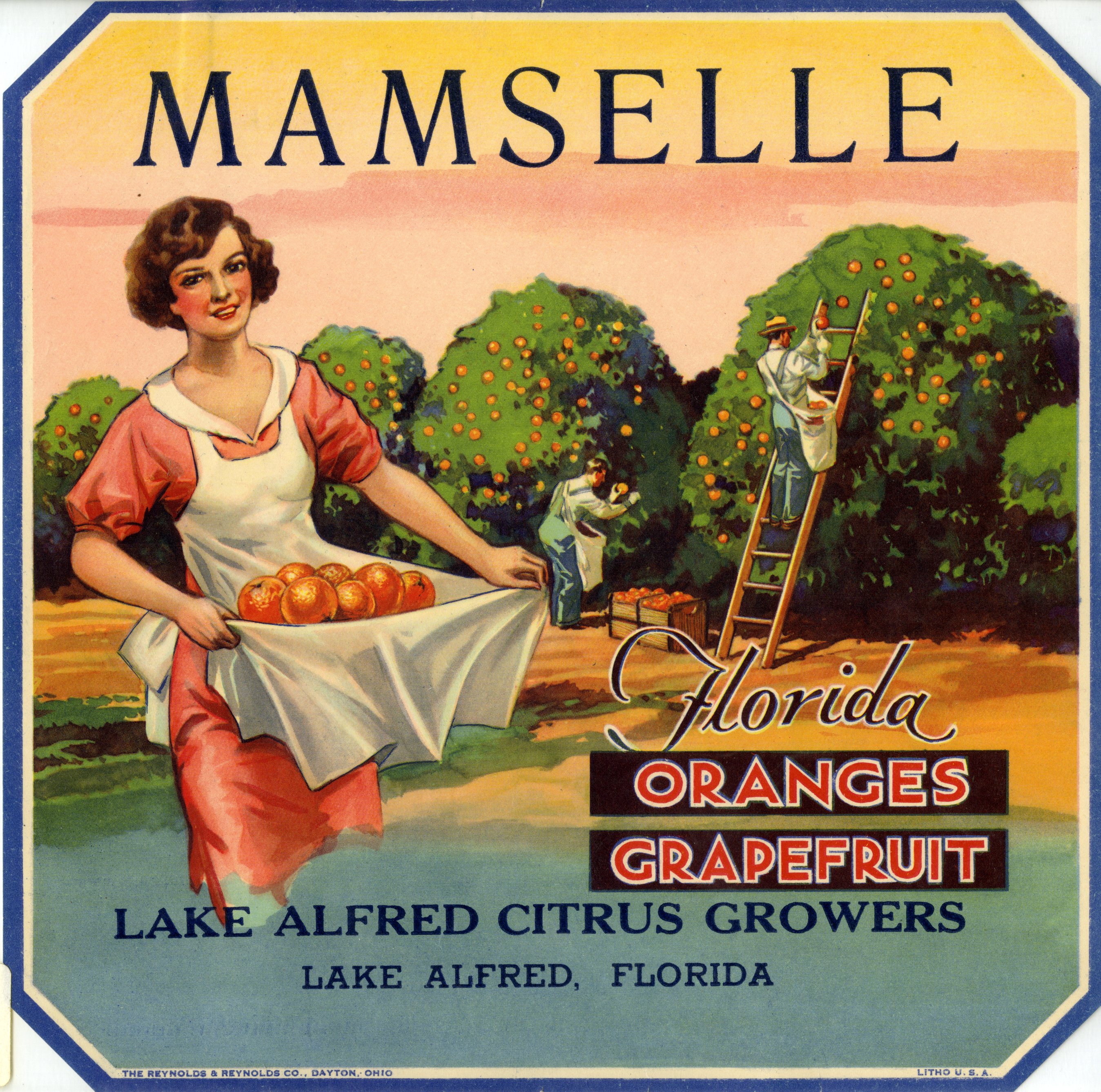 Mamselle