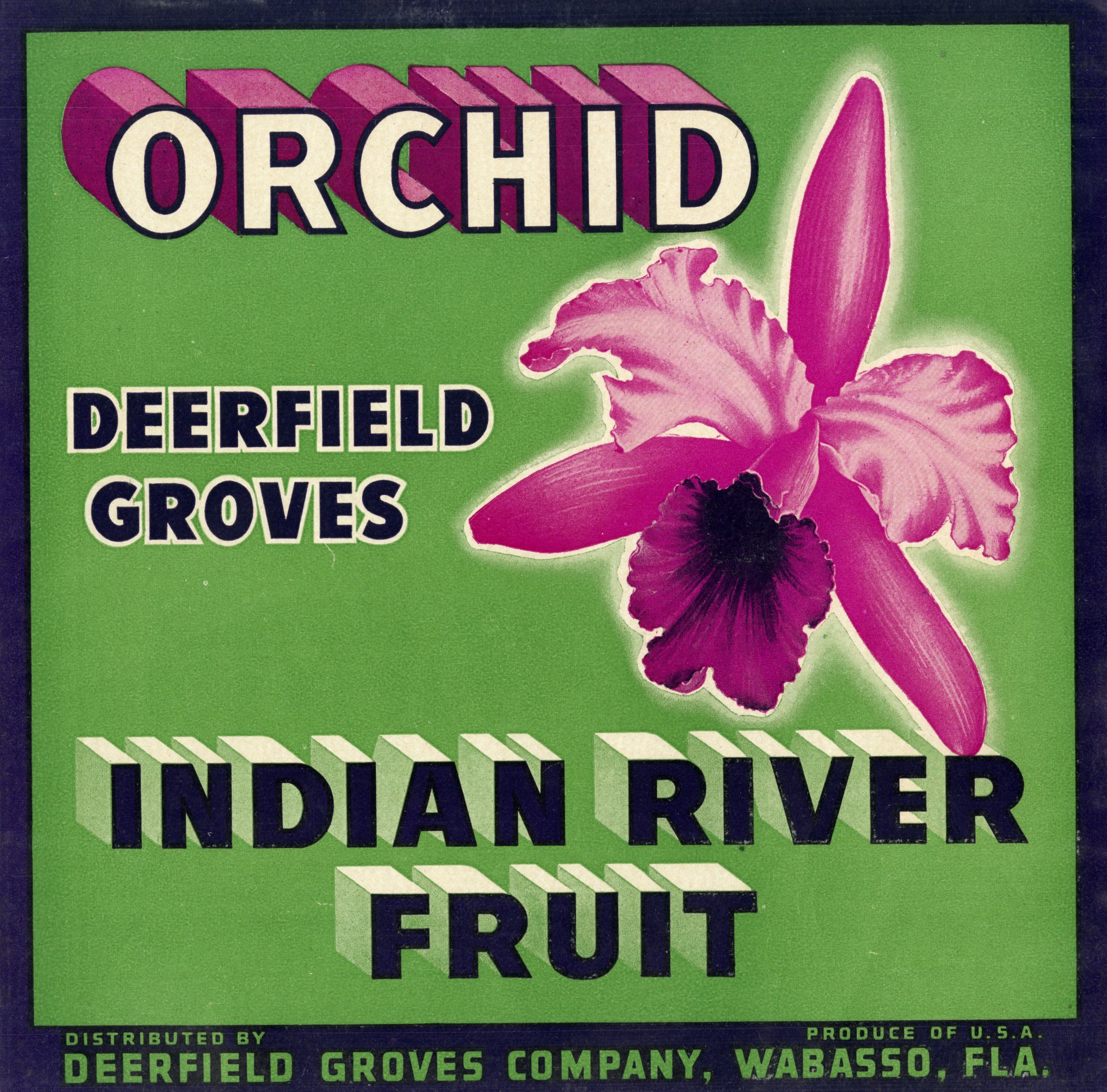 Orchid Brand