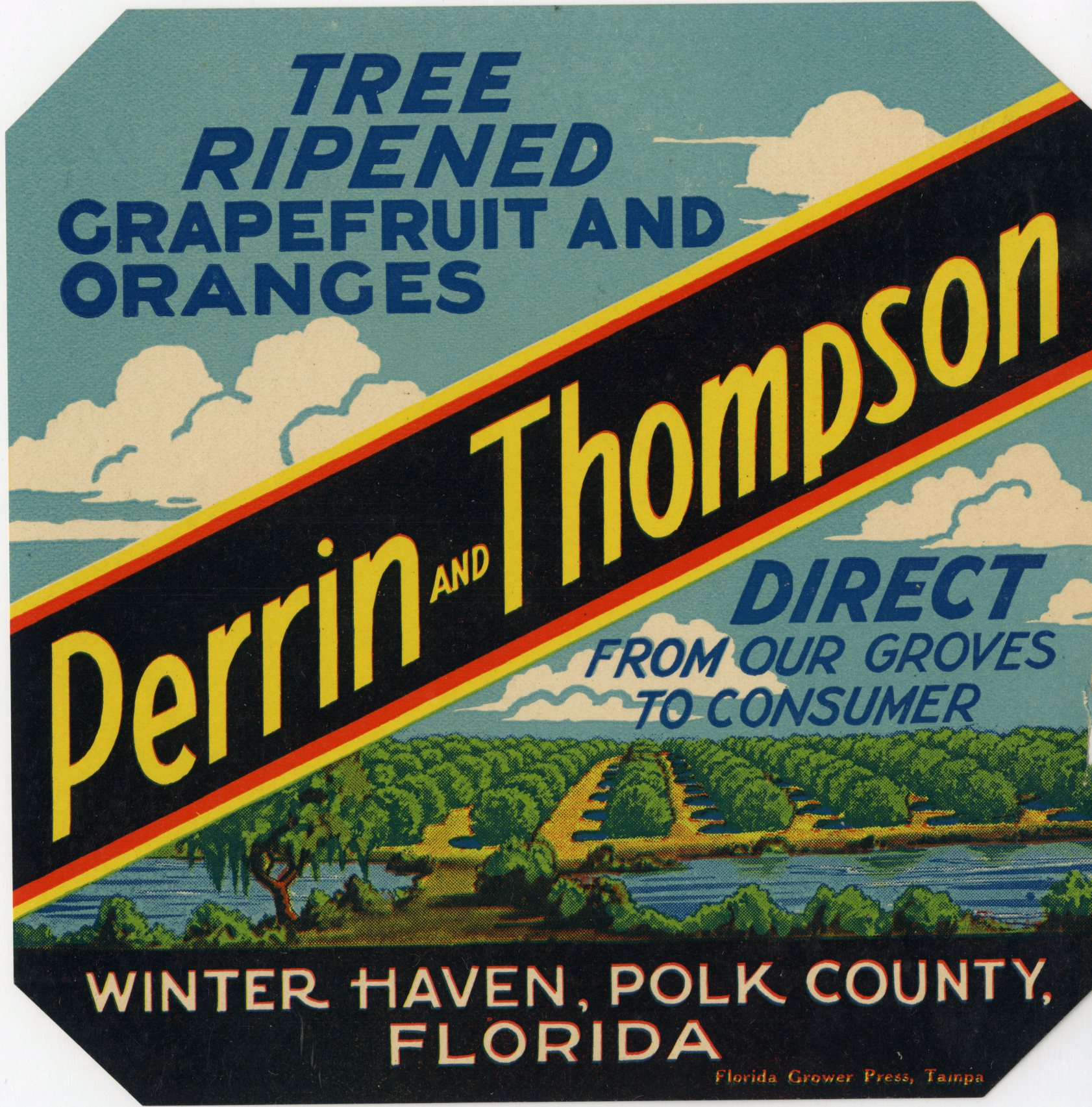 Perrin and Thompson