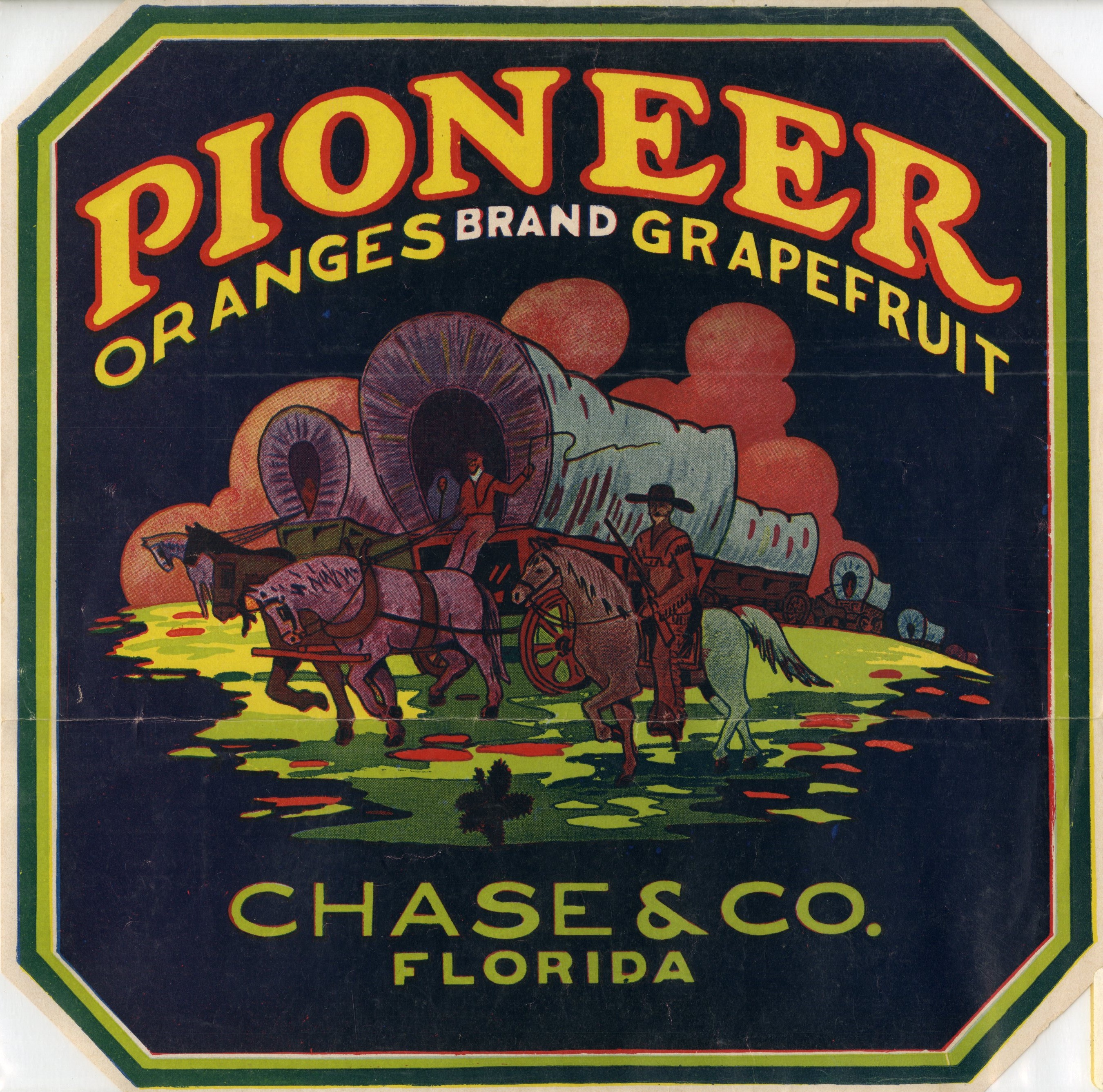 Pioneer Brand