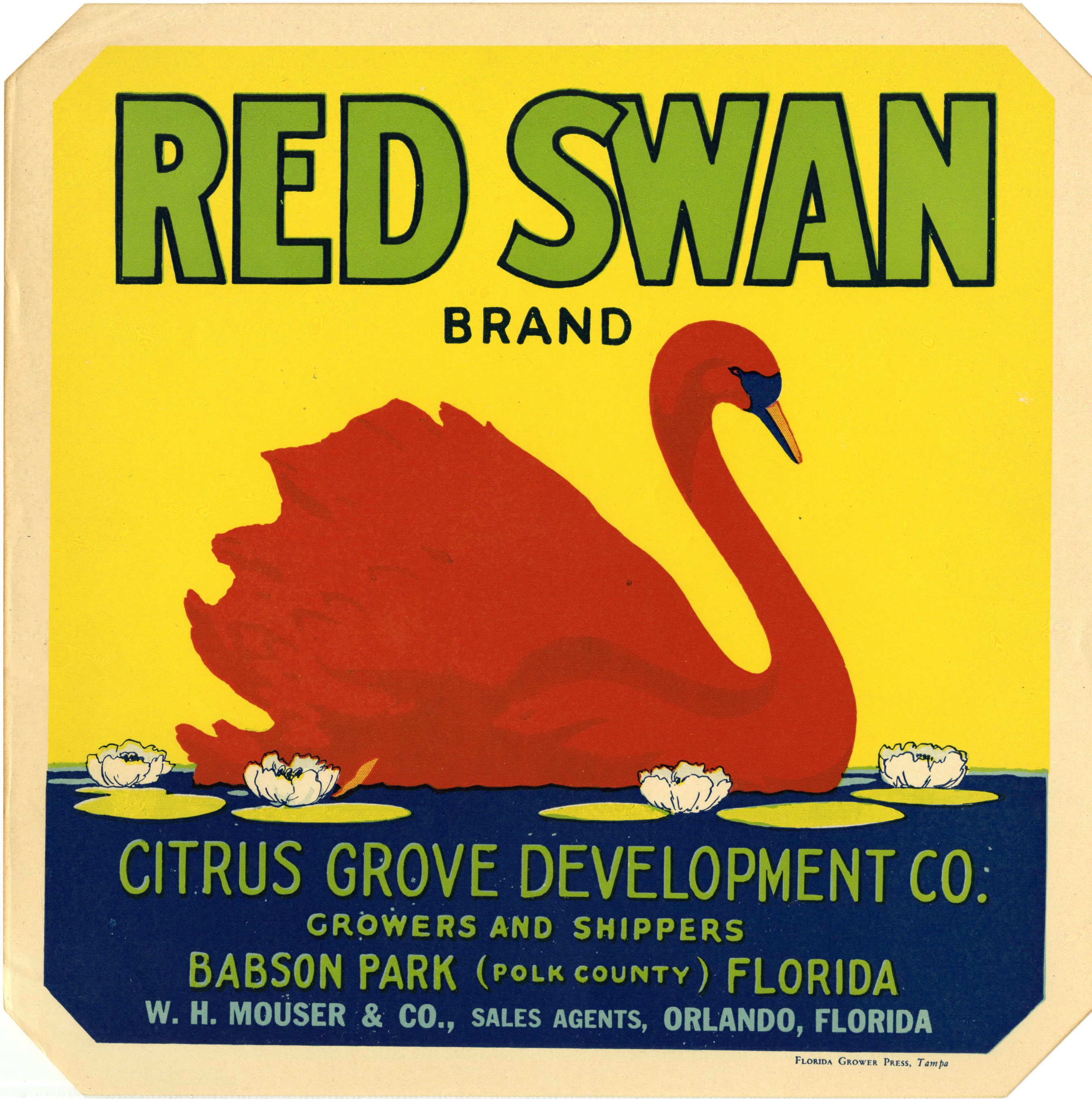 Red Swan Brand