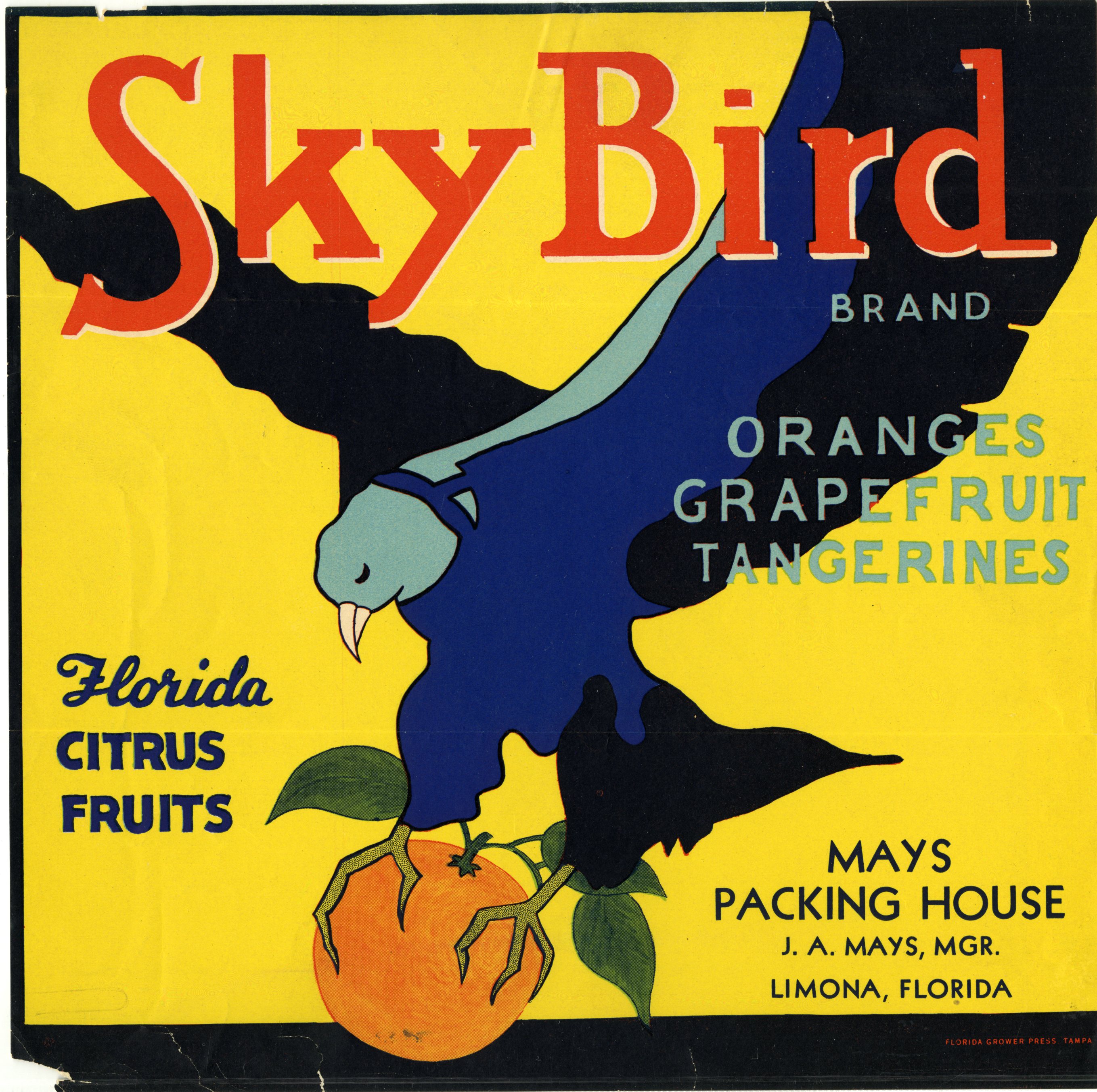 Sky Bird Brand