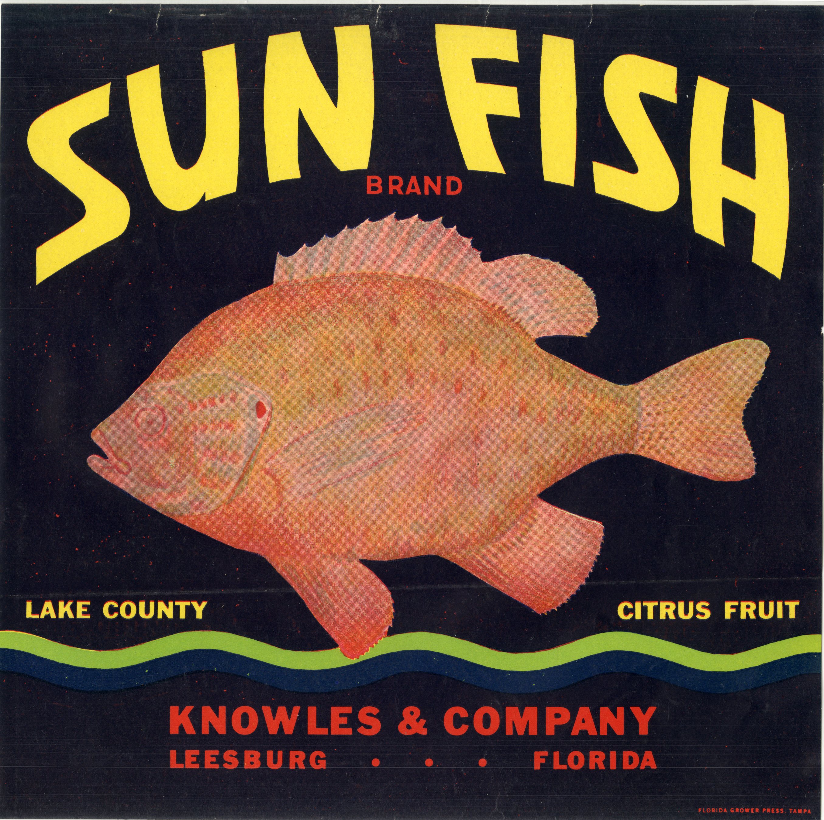 Sun Fish Brand