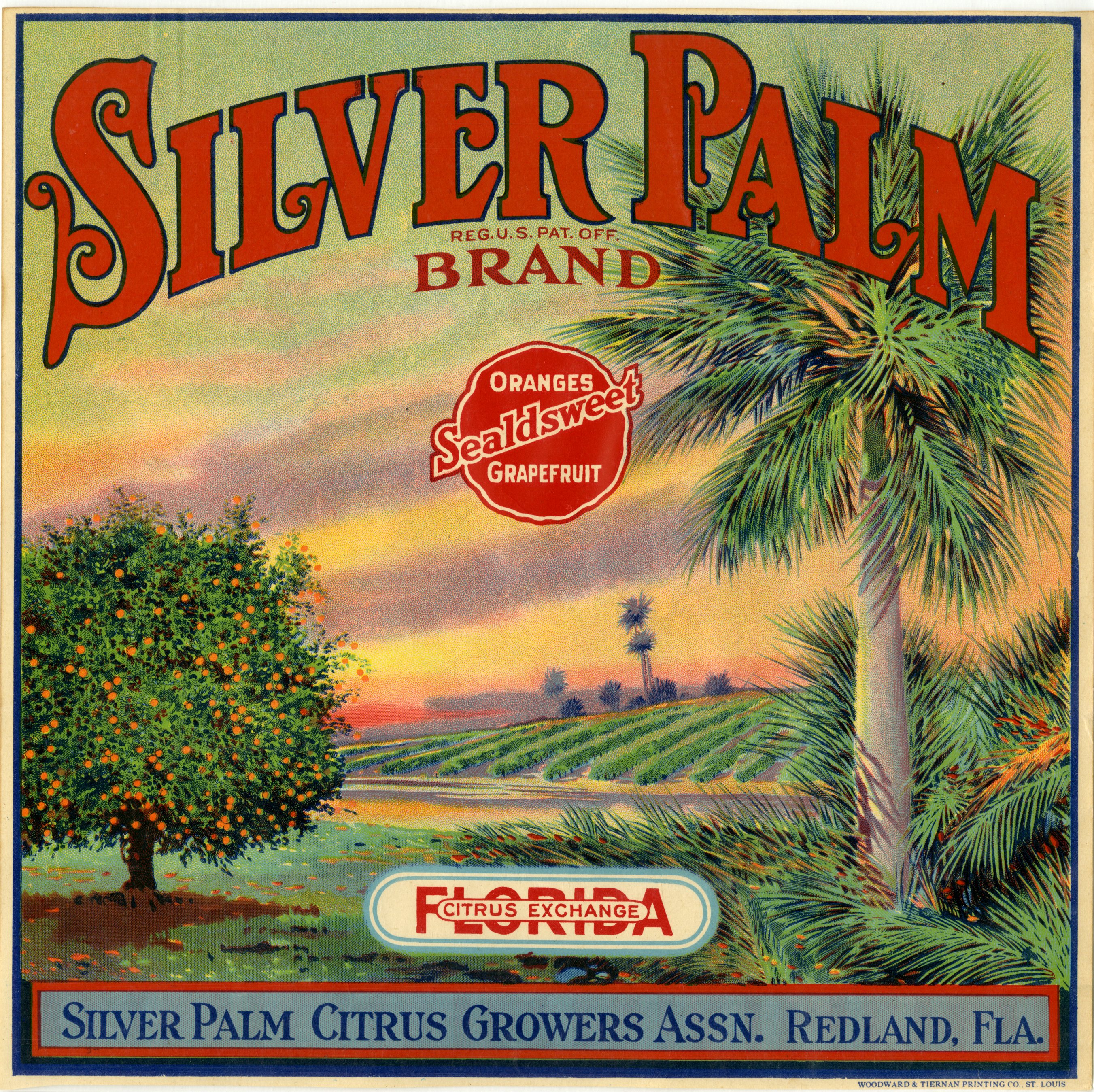 Silver Palm Brand