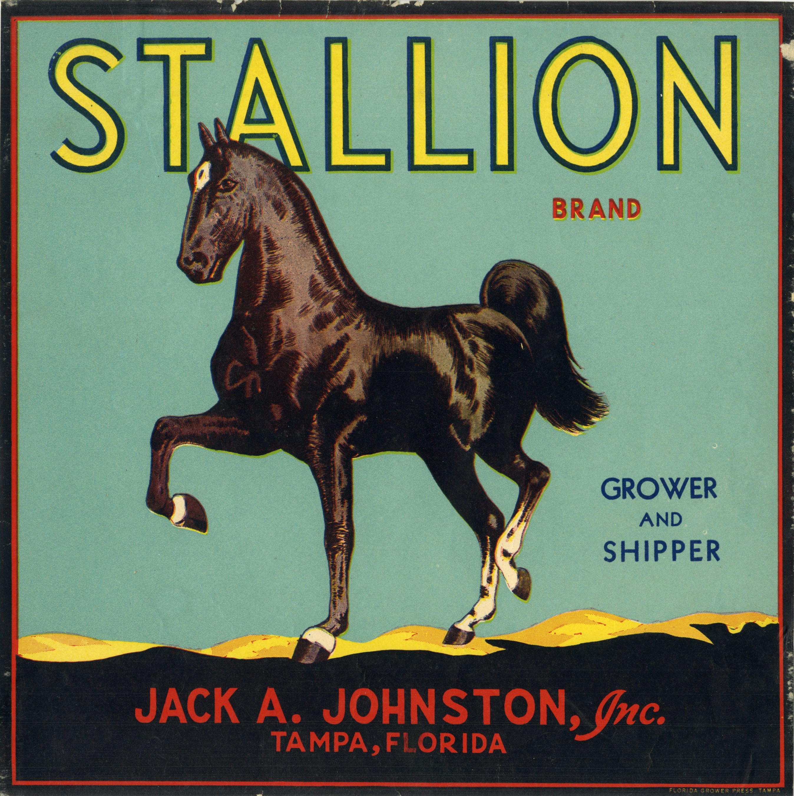 Stallion Brand