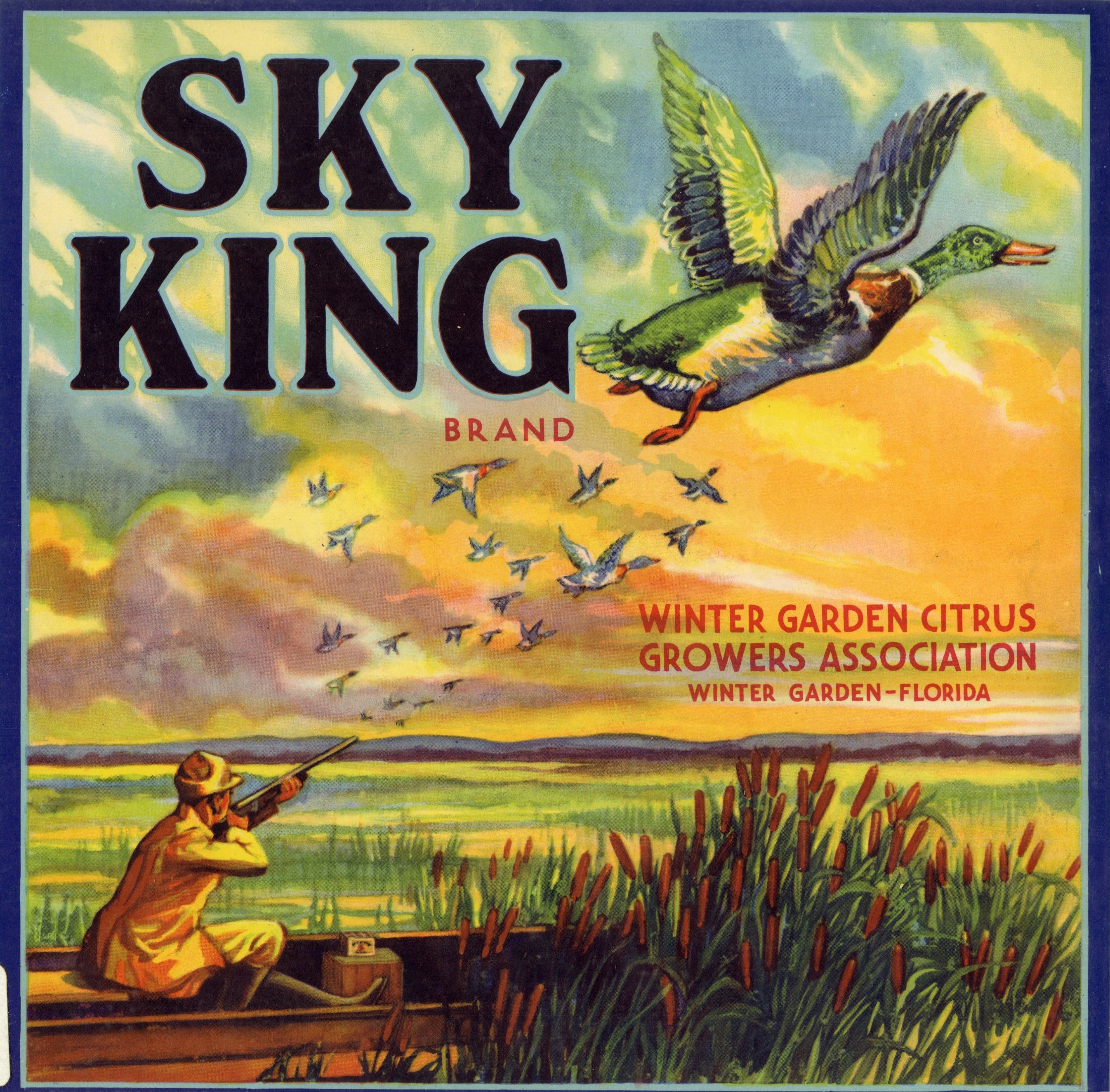 Sky King Brand