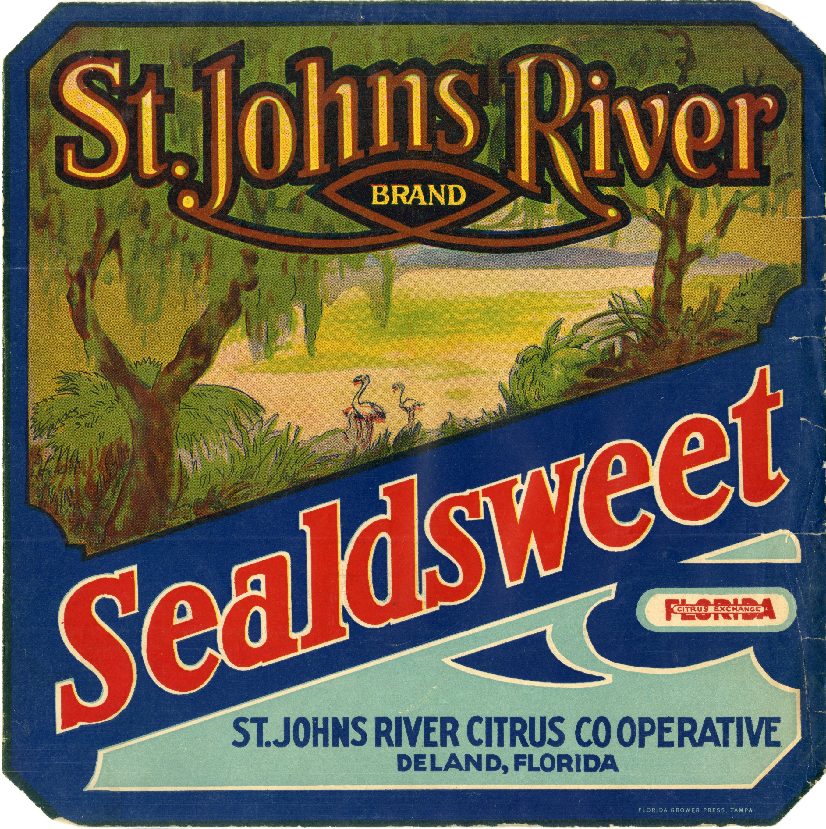 St. Johns River Brand