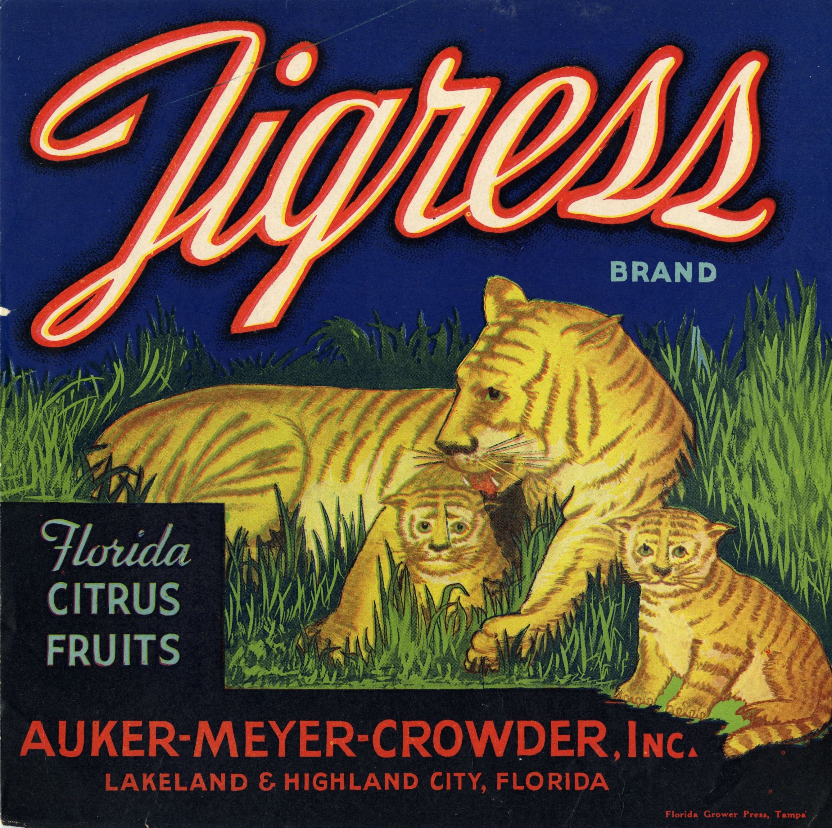 Tigress Brand