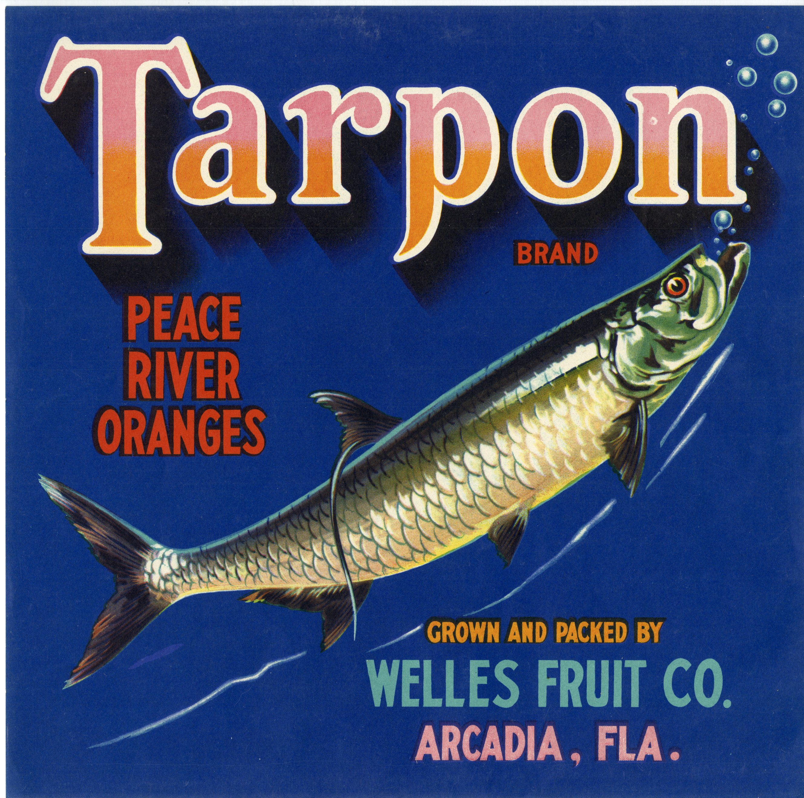 Tarpon Brand