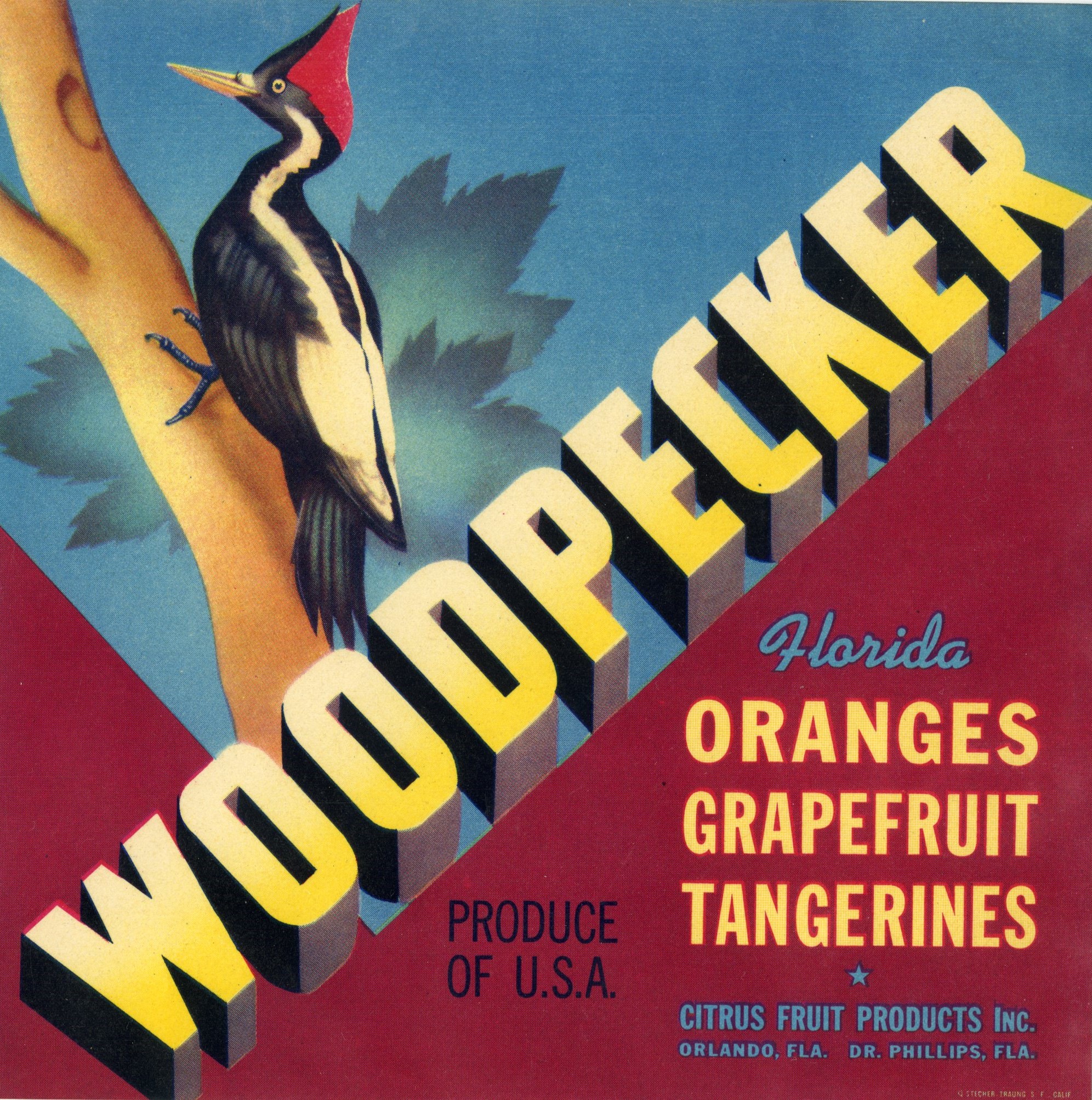 Woodpecker