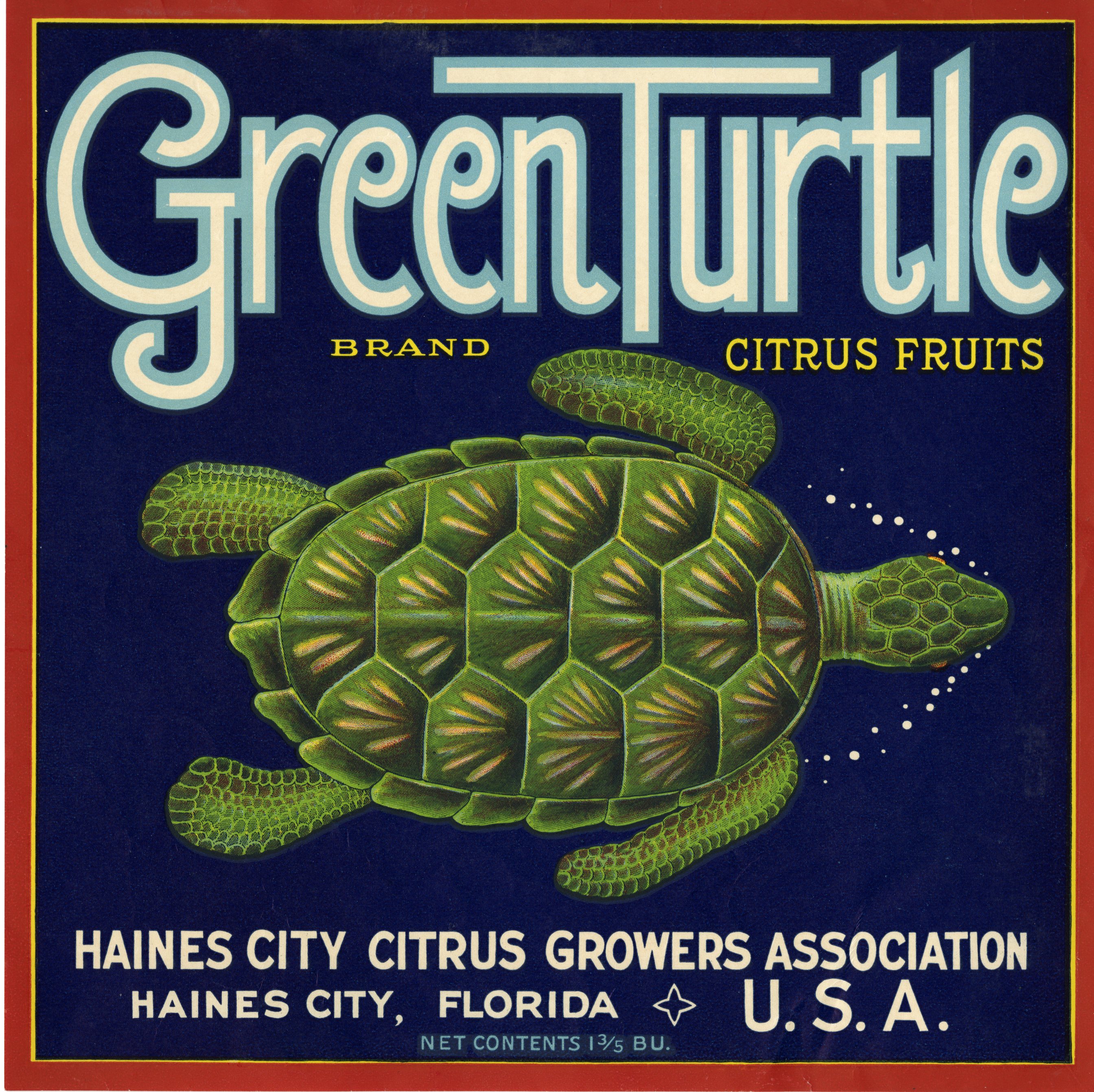 Green Turtle Brand