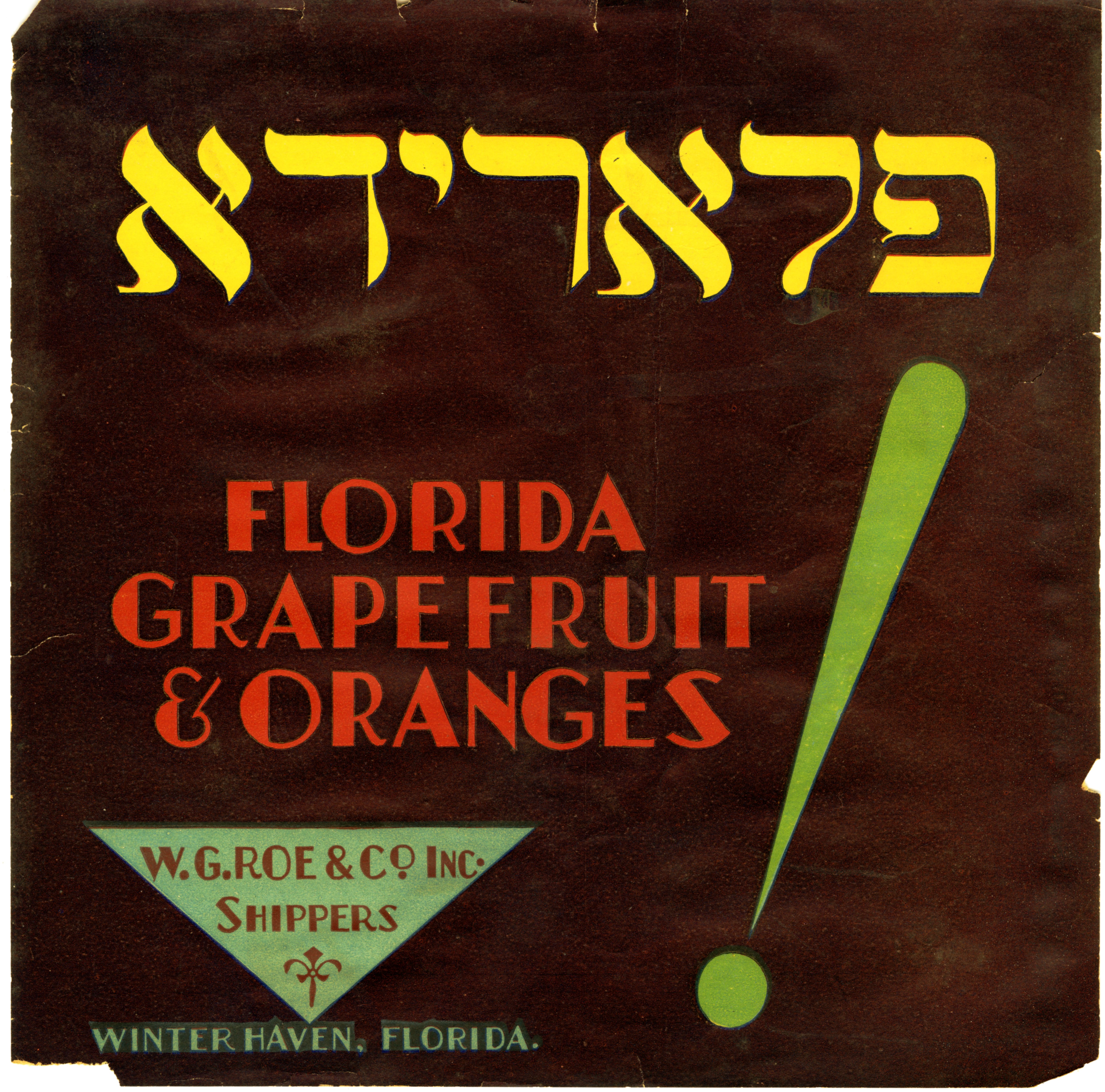 Florida (in Hebrew)