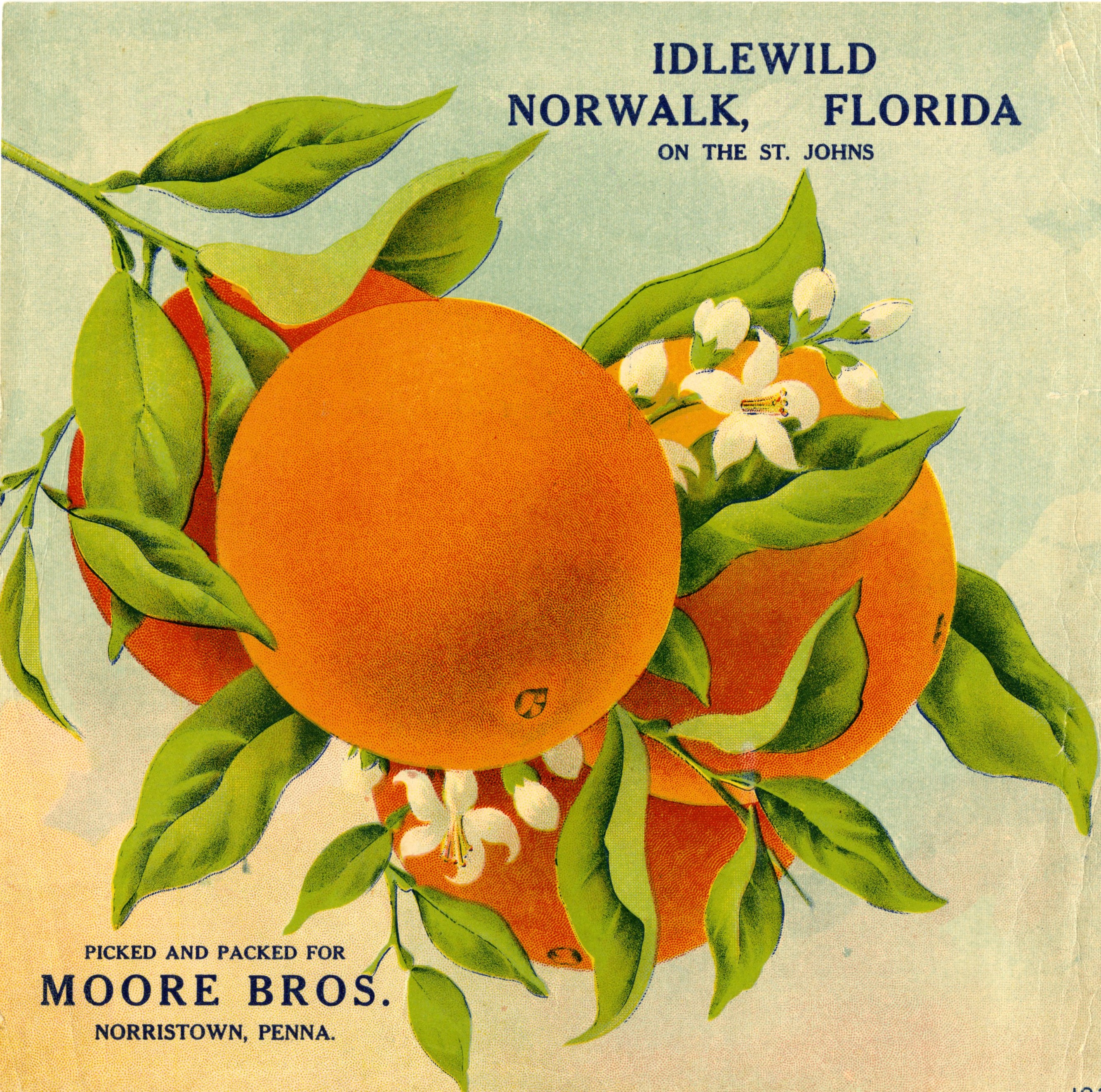 Idlewild