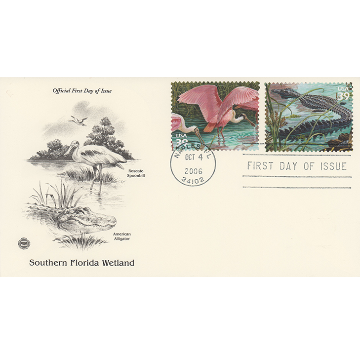 Southern Florida Wetland